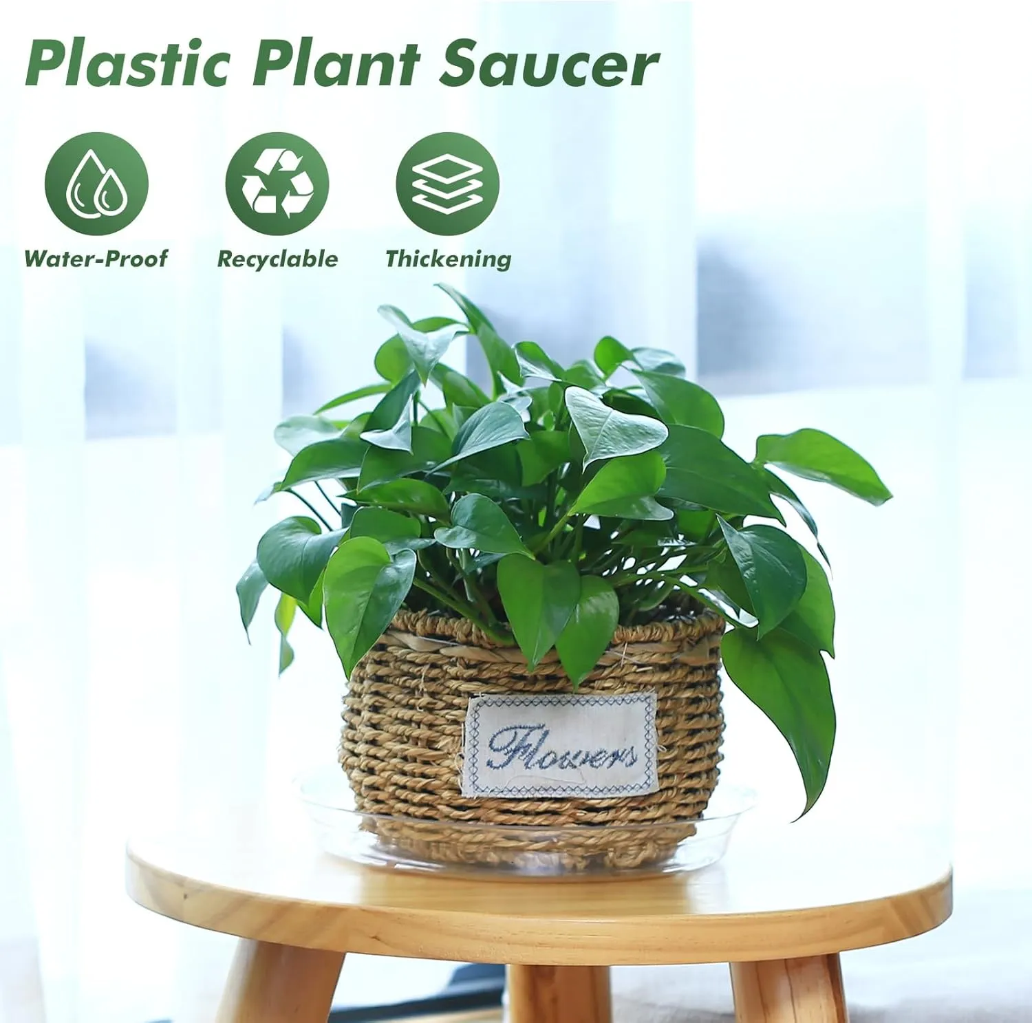 100 Pack 6 Inch Plant Saucer Clear Plant Saucers for Indoors Flower Pot Saucers Small Plants Plate Dish Succulent Pot Saucer Plants Trays for Pots Bulk Plastic Tray for Flower Cactus Nursery Pots