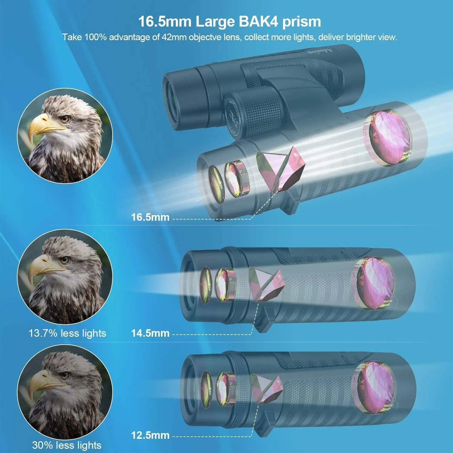 12x42 HD Binoculars for Adults with Universal Phone Adapter