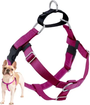 2 Hounds Design Freedom No Pull Dog Harness, Adjustable Harness, Easy Walking & Comfortable Control, Fits Small, Medium & Large Dogs, Solid Colors, Made in USA, 1" LG, Raspberry