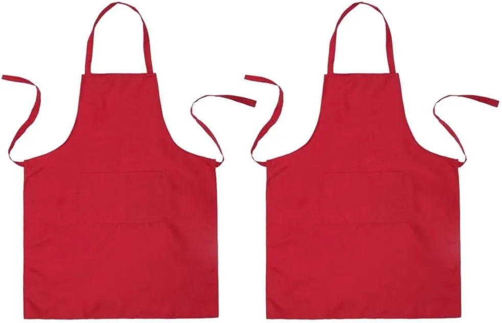2 Pcs Home Bib Peacock Plates Solid Color Bib Clay Pot for Cooking Tissue Travel Holder Waterproof Bibs