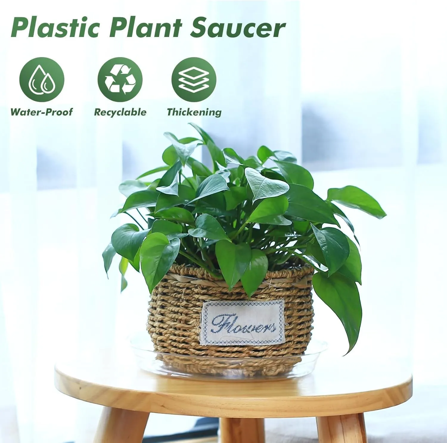 40 Pack 4 Inch Plant Saucer Clear Plant Saucers for Indoors Flower Pot Saucers Small Plant Plate Dish Plant Pot Saucers Plant Trays for Pots Bulk