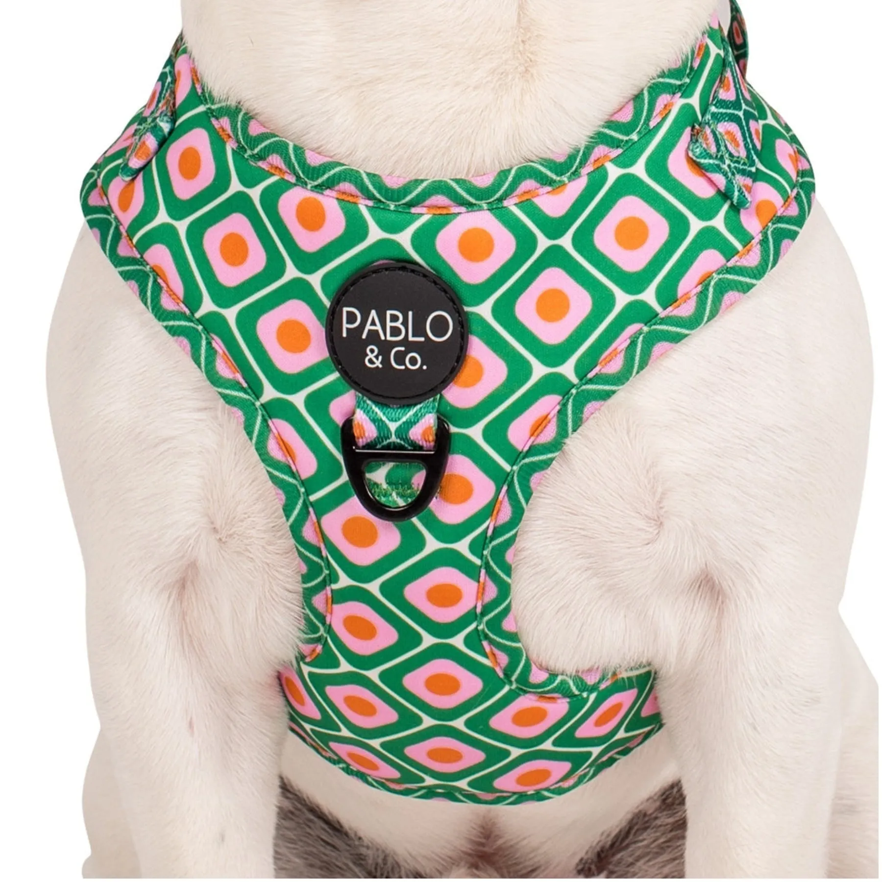 70's Style Adjustable Harness