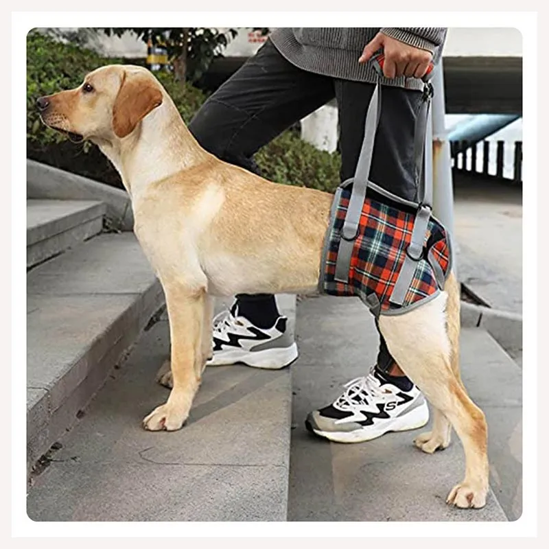 A a Pets' Dog Lift Support Harness for Hind / Back Legs