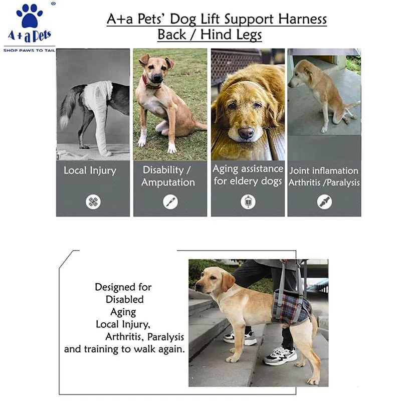 A a Pets' Dog Lift Support Harness for Hind / Back Legs