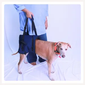 A a Pets' Dog Lift Support Harness for Hind / Back Legs