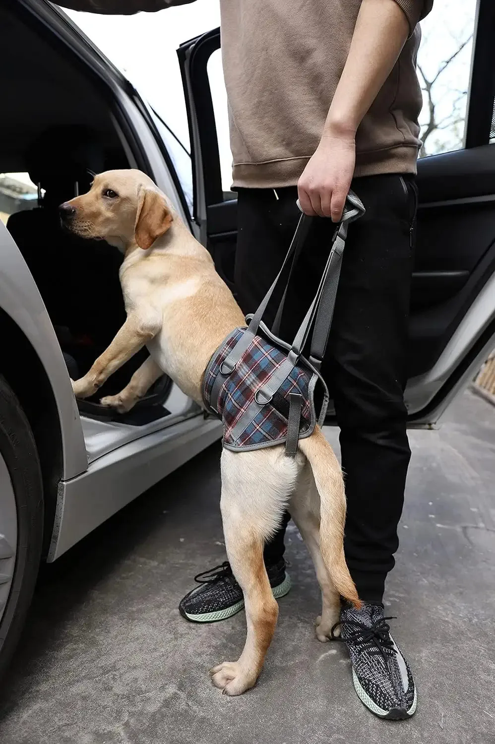 A a Pets' Dog Lift Support Harness for Hind / Back Legs