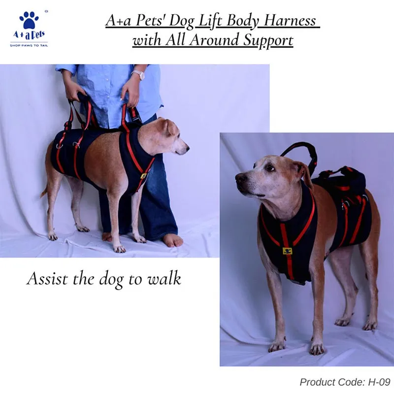 A a Pets' Full Body Support Harness for Dogs with Lift Sling Belt