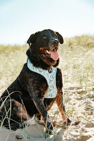 Adjustable Dog Harness | Eucalyptus