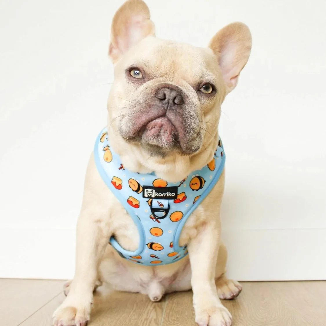 adjustable harness with front-clip - honey bee 1 large left!
