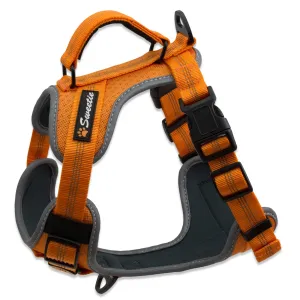 Adjustable No-Pull Dog Harness with Padded Control Handle