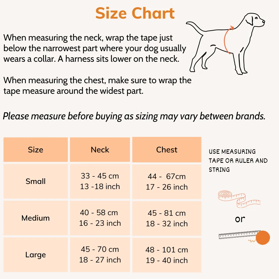 Adjustable No-Pull Dog Harness with Padded Control Handle