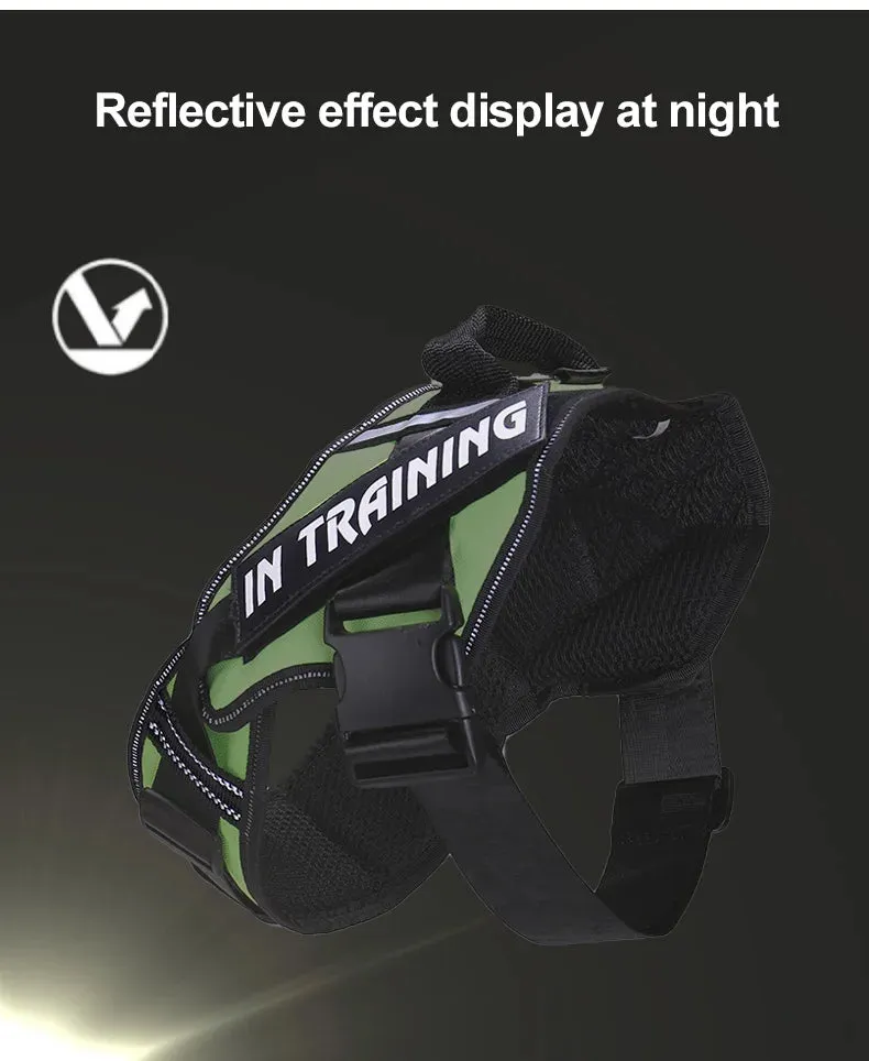 Adjustable Nylon Dog Harness