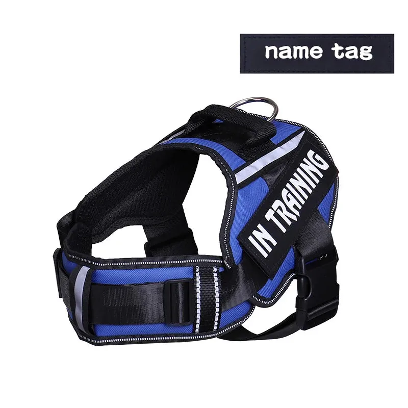 Adjustable Nylon Dog Harness