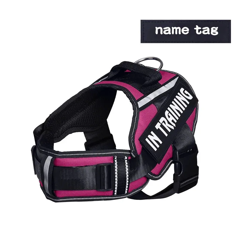 Adjustable Nylon Dog Harness