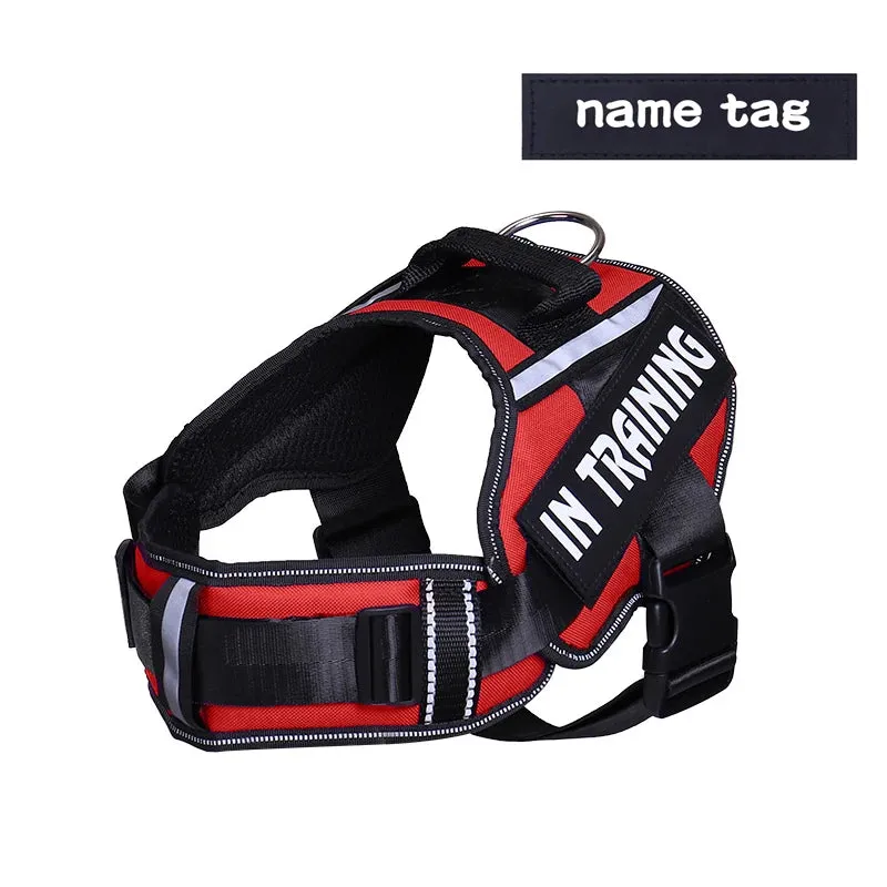 Adjustable Nylon Dog Harness