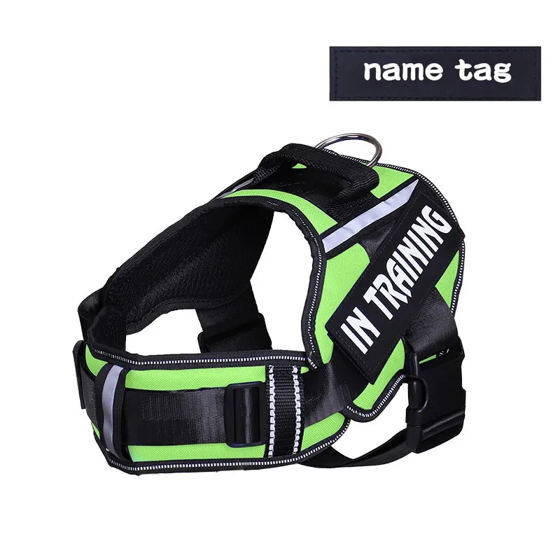 Adjustable Nylon Dog Harness