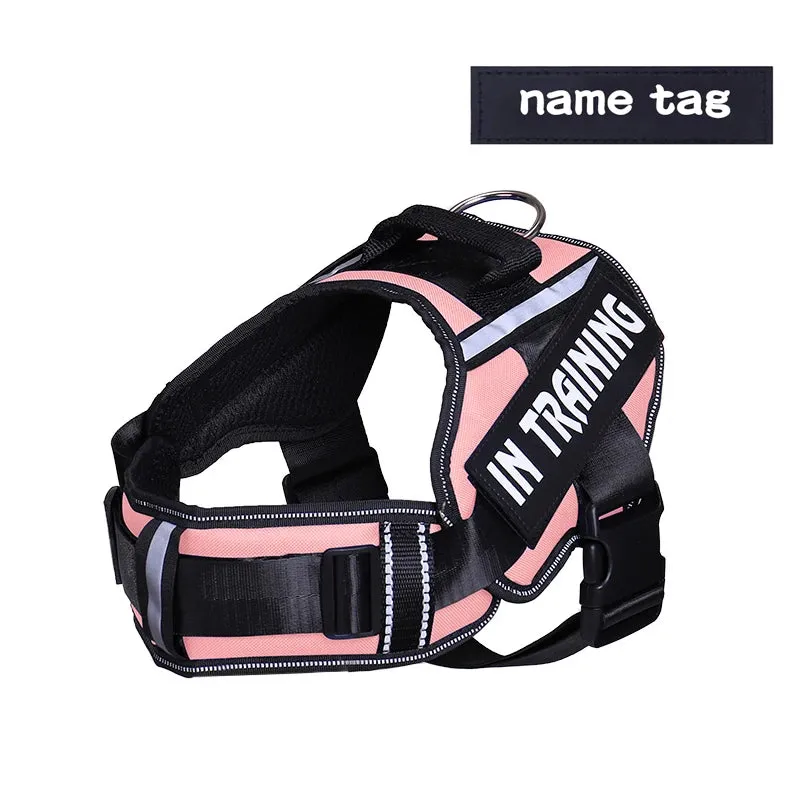 Adjustable Nylon Dog Harness