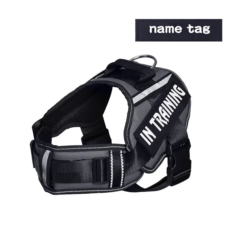 Adjustable Nylon Dog Harness