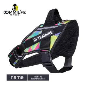 Adjustable Nylon Dog Harness