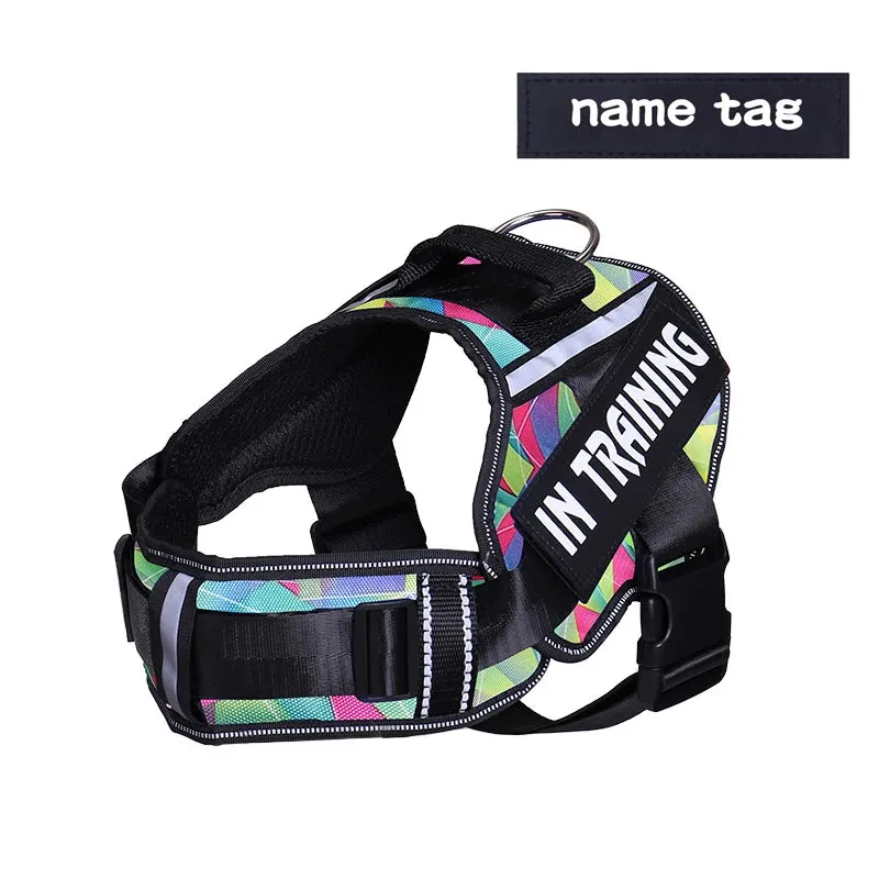 Adjustable Nylon Dog Harness