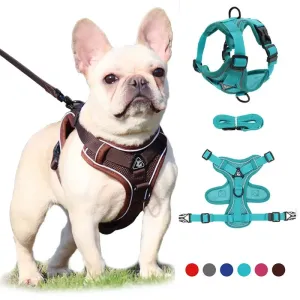 Adjustable Reflective Pet Harness Set