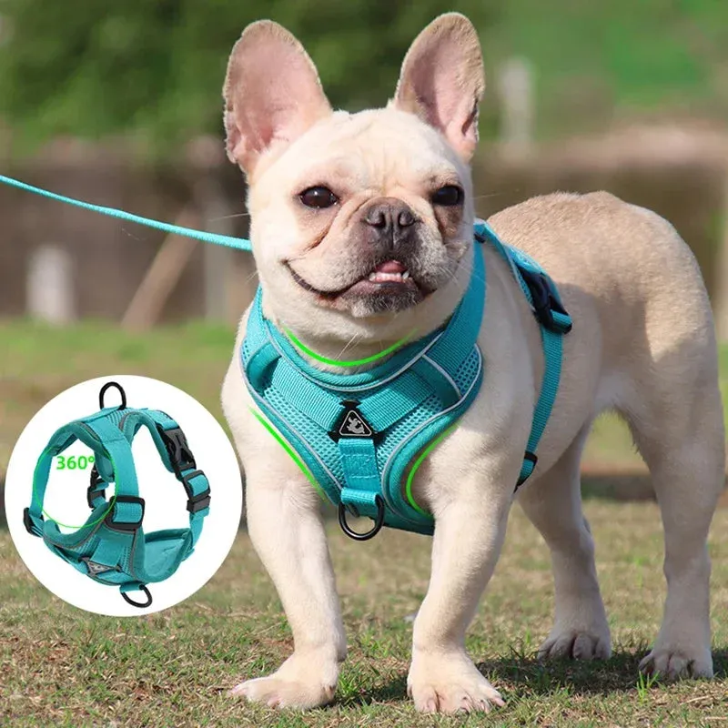 Adjustable Reflective Pet Harness Set
