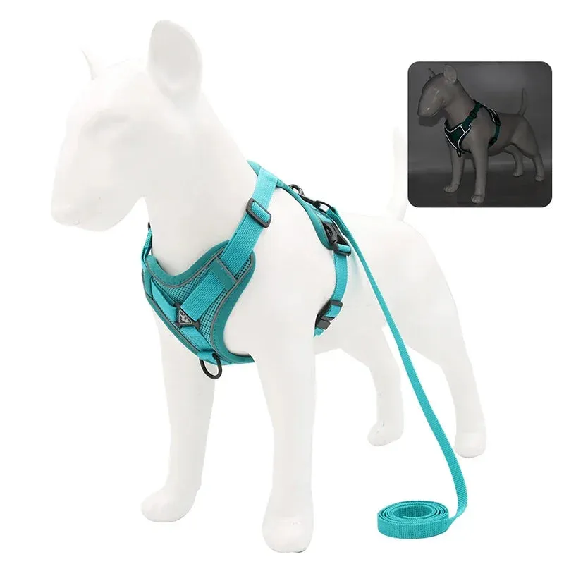 Adjustable Reflective Pet Harness Set