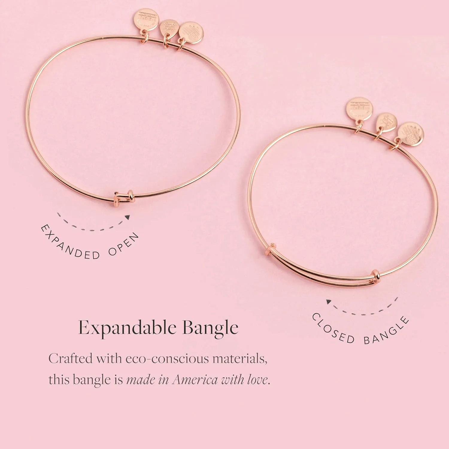 Alex and Ani Expandable Bangle for Women, Initials A to Z Letter Charms, Shiny Finish, 2 to 3.5 in