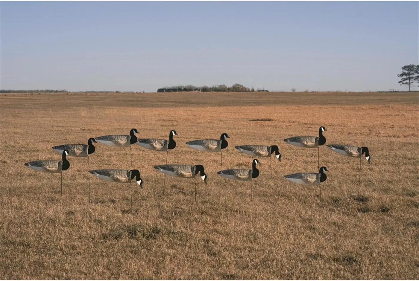 Avery GHG Pro-Grade Windsock Decoys - Canada Goose with Flocked Heads