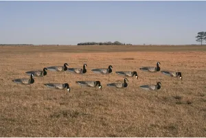 Avery GHG Pro-Grade Windsock Decoys - Canada Goose with Flocked Heads