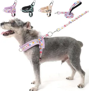 BEAUTYZOO No Pull Small Dog Harness and Leash Set, Soft Puppy Vest Harness with Handle Escape Proof & Easy Walk, Lightweight Dog Winter Harness Chest Adjustable for Girl Boy Dogs 22-33 lbs, Purple M