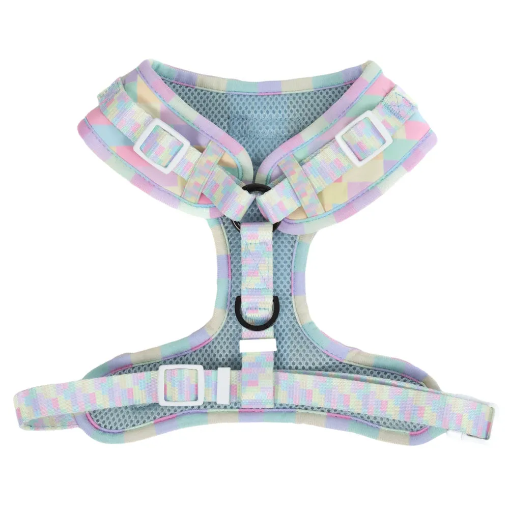 Big & Little Dogs Gelato Adjustable Harness