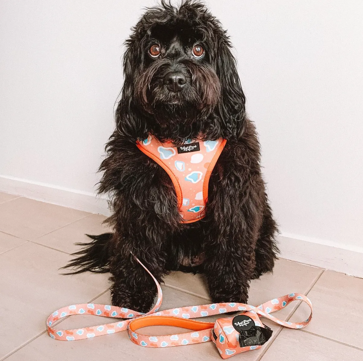Blobby Orange Adjustable Harness