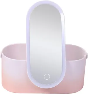 Box Makeup Accessory Mirror Vanity Makeup Organizers Skincare Organizer Cosmetic Holder Jewelry Container Plastic Cosmetics Holder Household Cosmetic Case Female Present Abs Pink