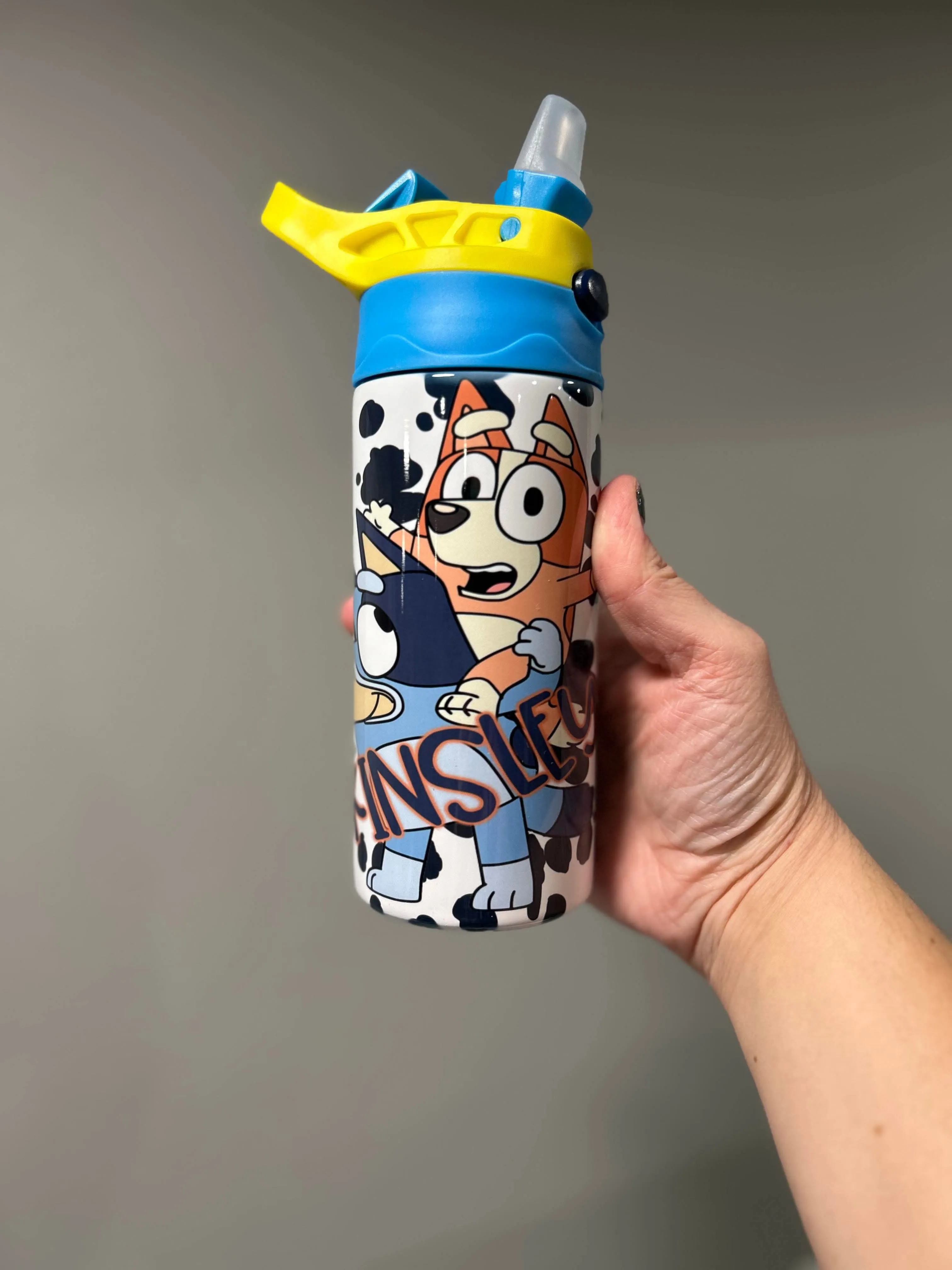 Character Kids Sippy or Waterbottle