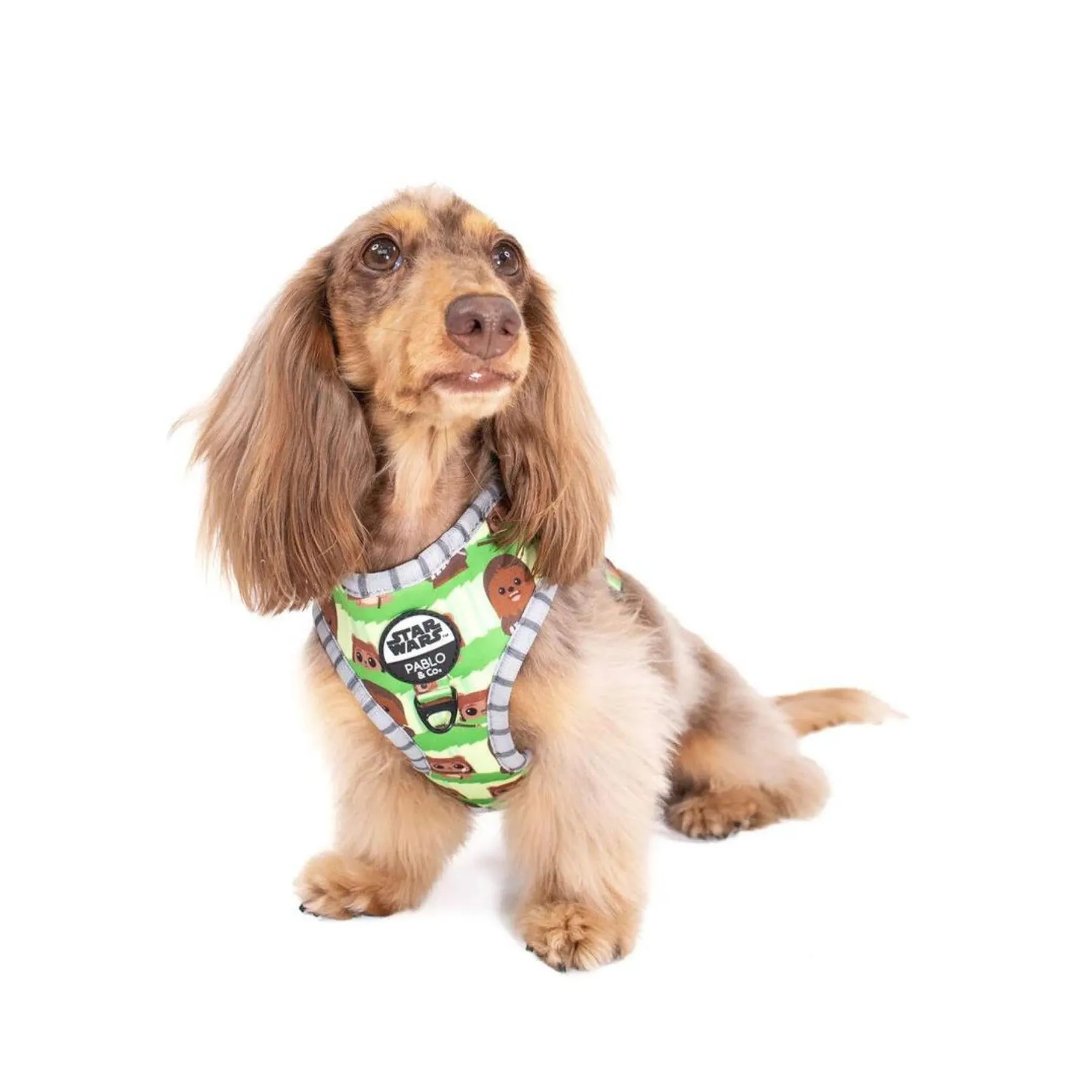 Chewbacca & Ewoks Adjustable Harness