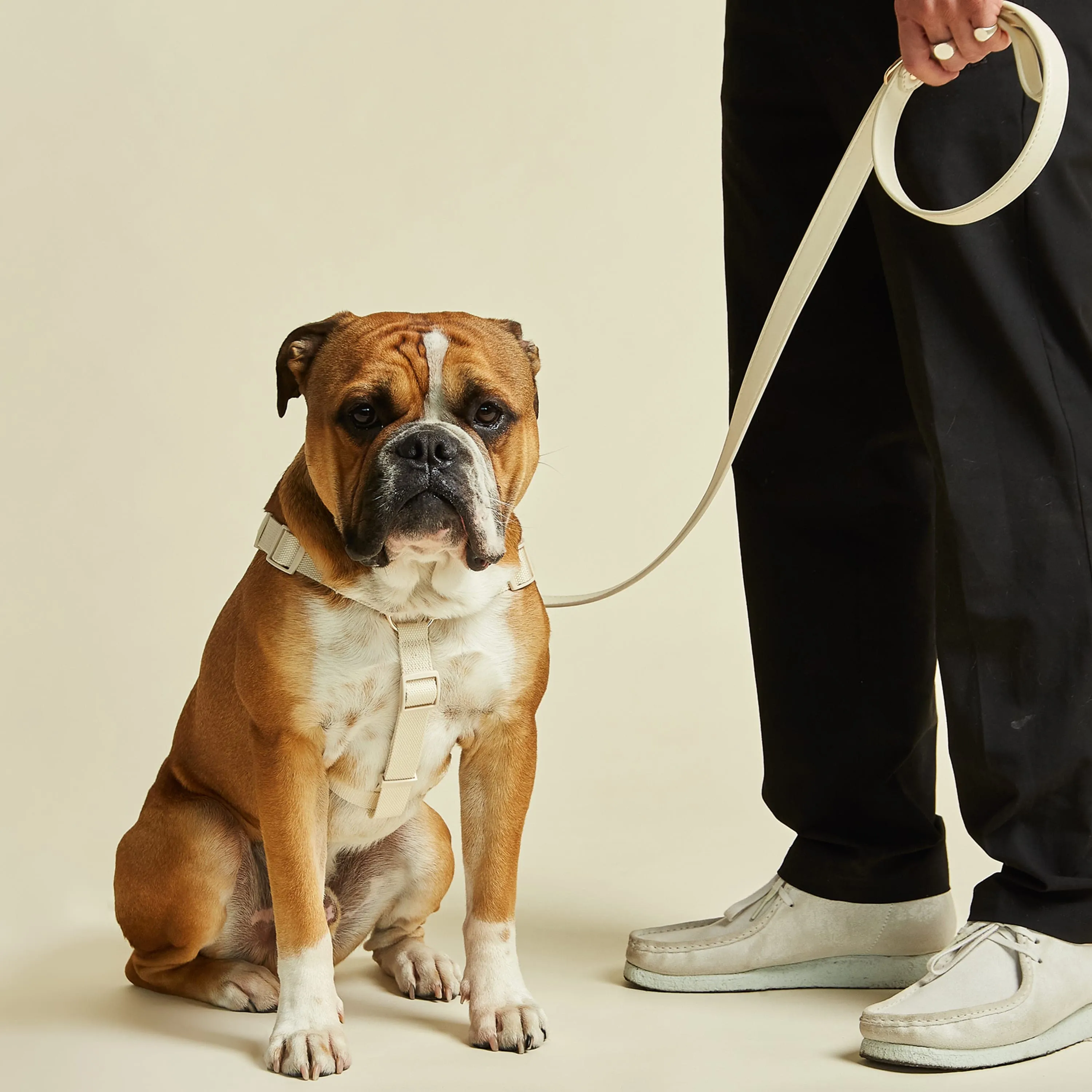 City Vegan Leather & Nylon Dog Harness | Ivory