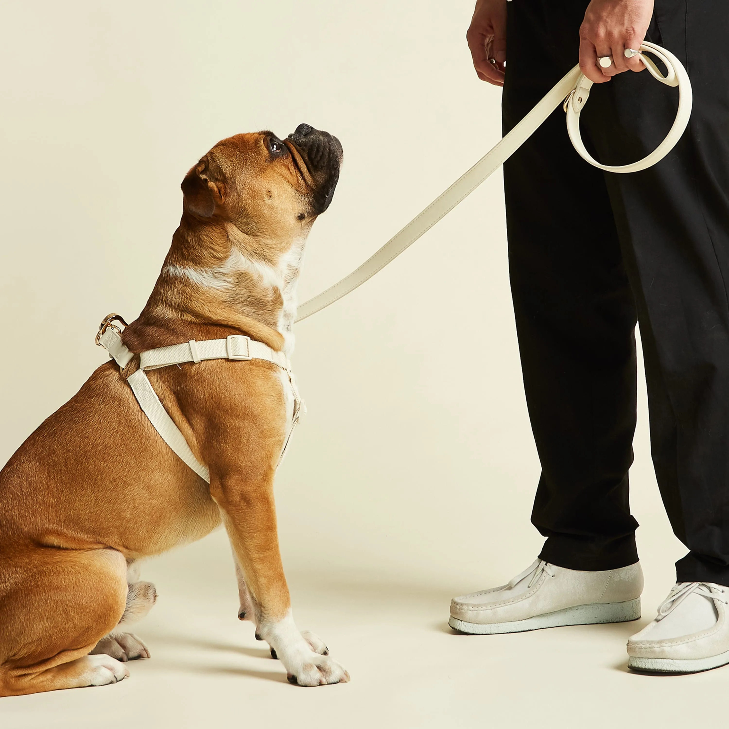 City Vegan Leather & Nylon Dog Harness | Ivory