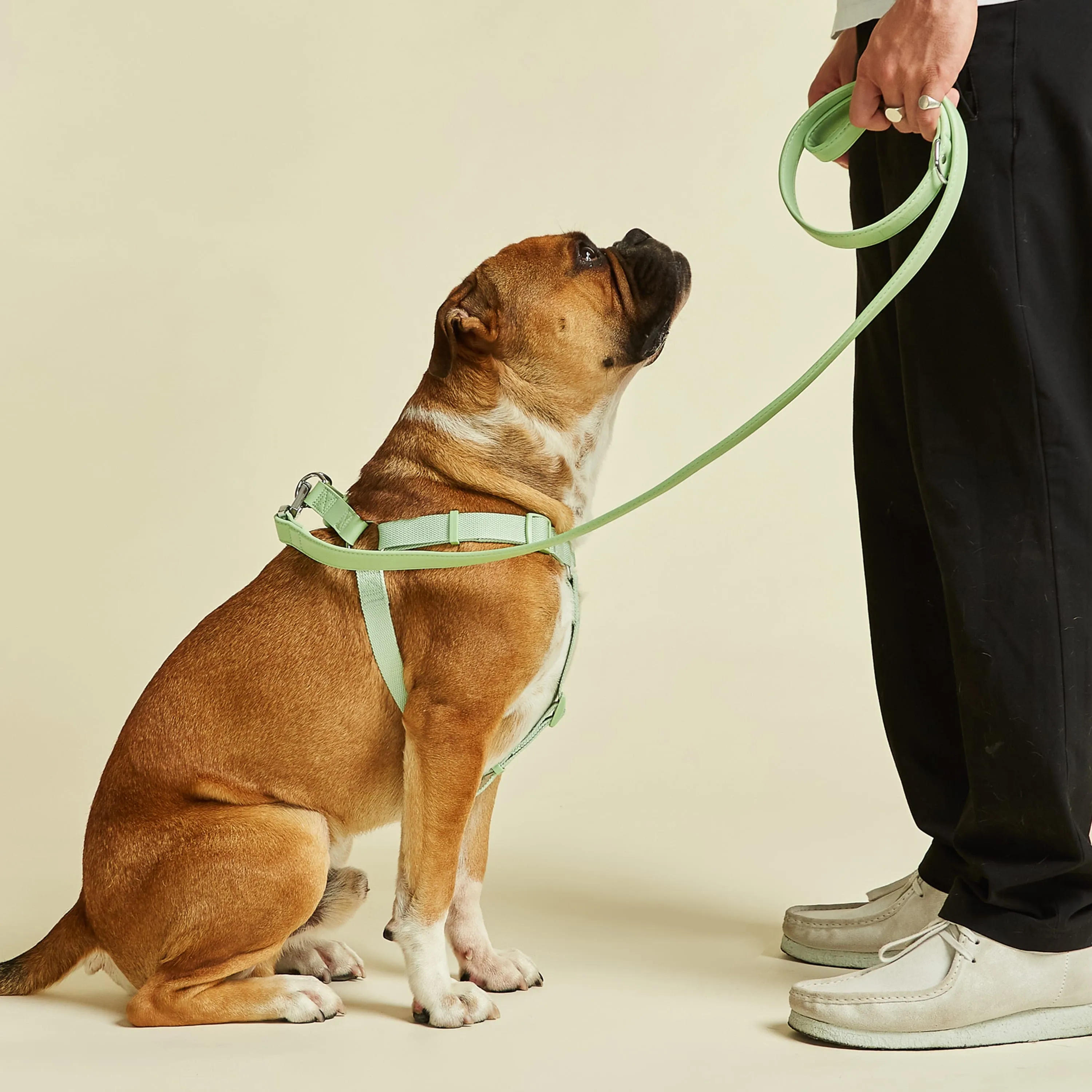City Vegan Leather & Nylon Dog Harness | Lush Green