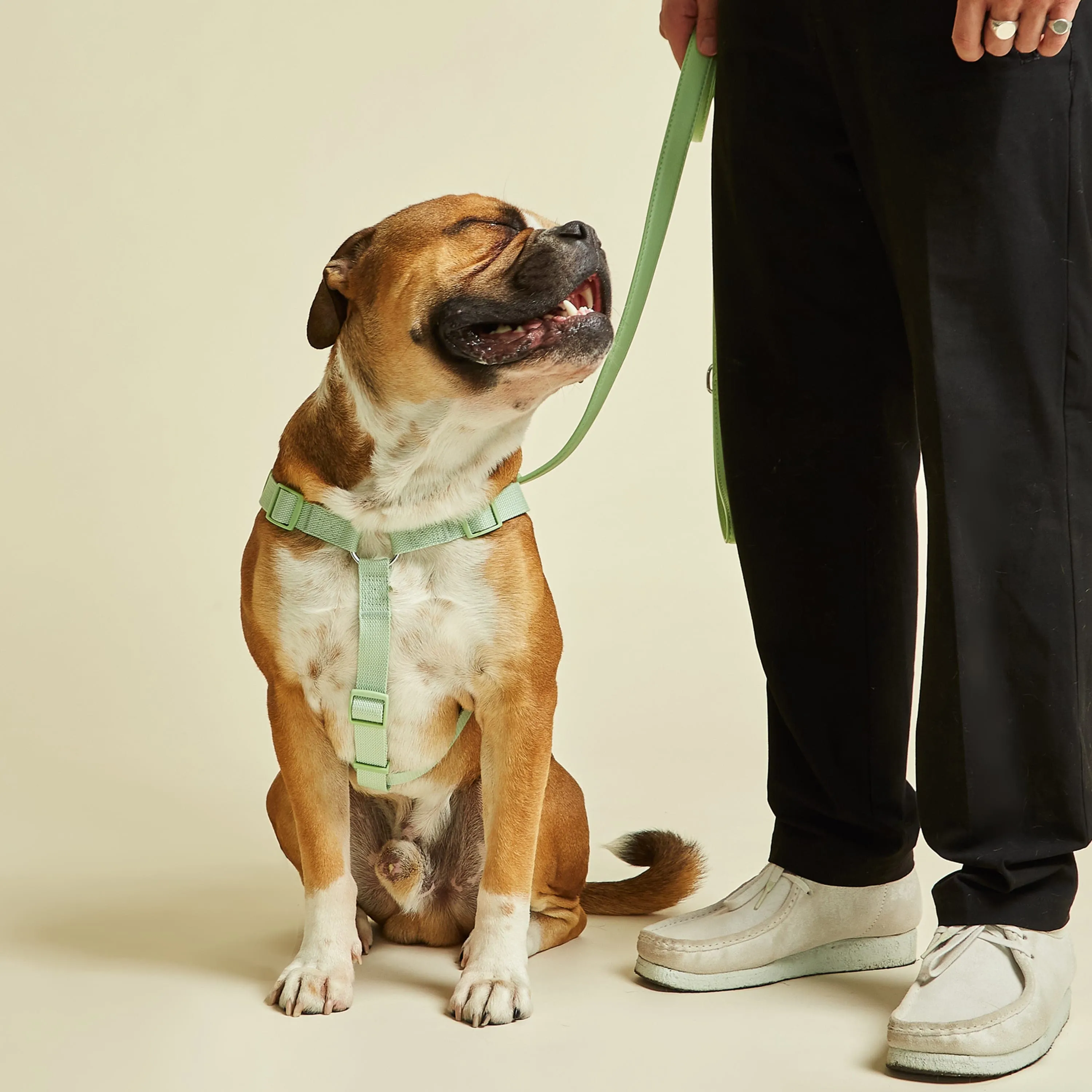 City Vegan Leather & Nylon Dog Harness | Lush Green