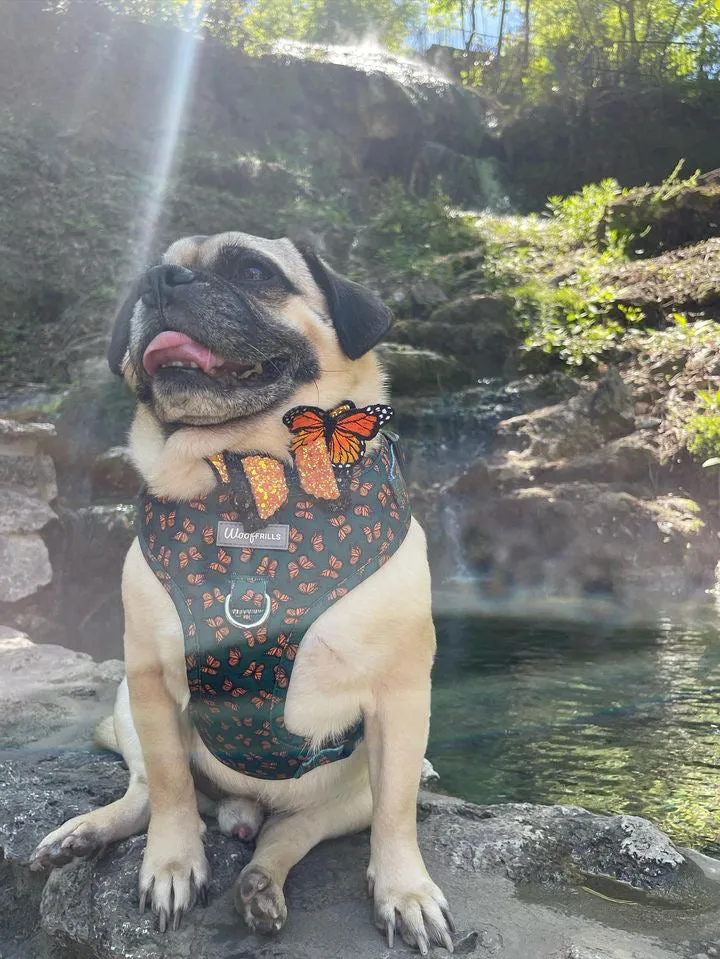 Dog harness, Dog collar and lead set | BUNDLE OF YOUR CHOICE | Pupperfly Frills