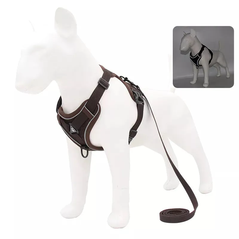 Dog Harness Leash Set Adjustable
