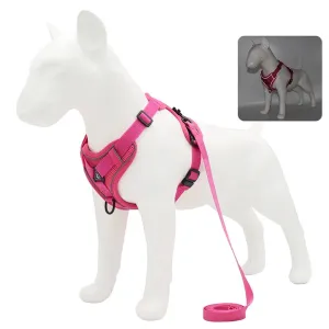 Dog Harness Leash Set Adjustable
