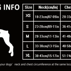 Dog Harness with Steel D Ring - Red, L