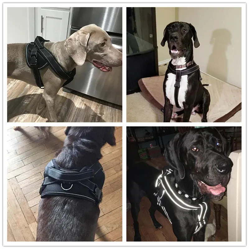 Elastic Quick Control Handle Dog Harness
