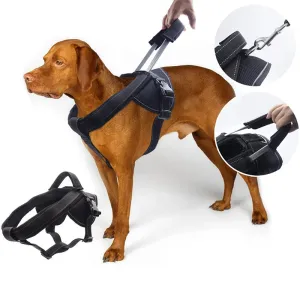 Elastic Quick Control Handle Dog Harness