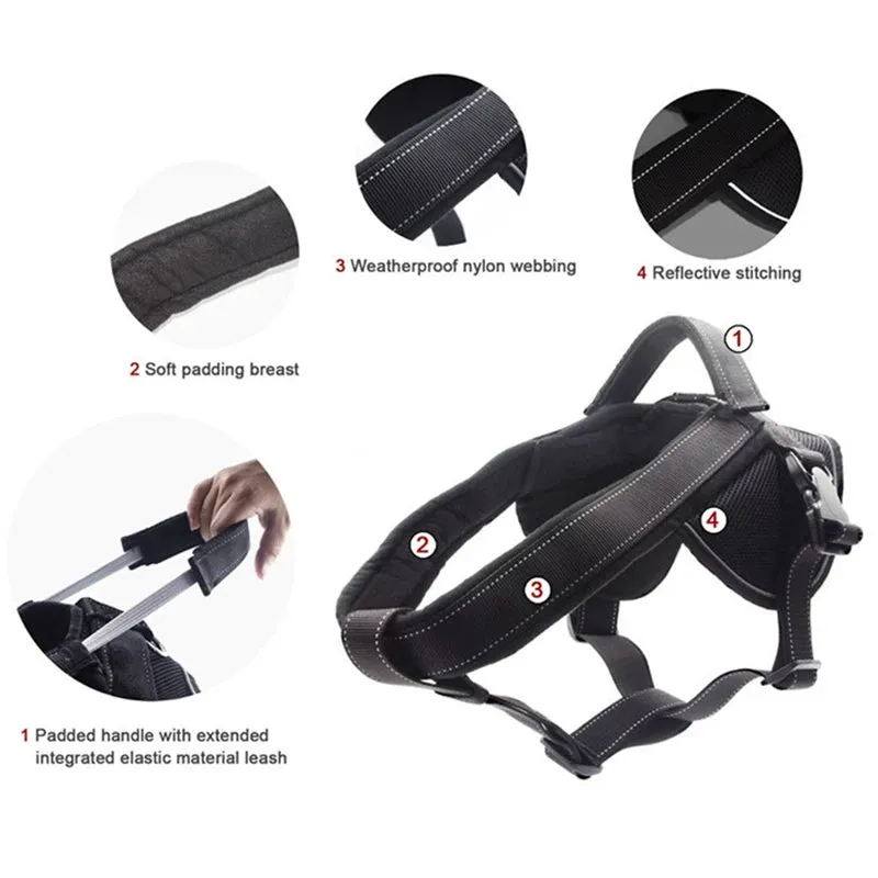Elastic Quick Control Handle Dog Harness