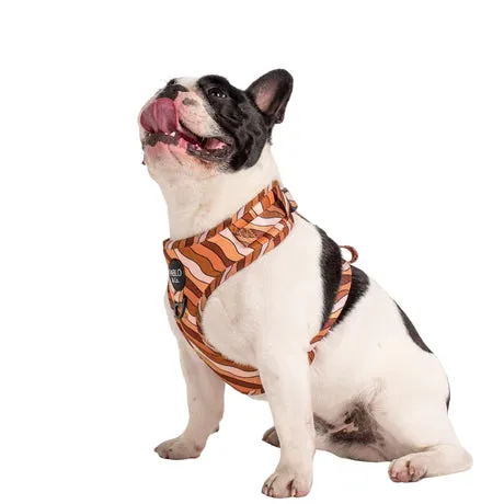 Espresso Swirls Adjustable Harness