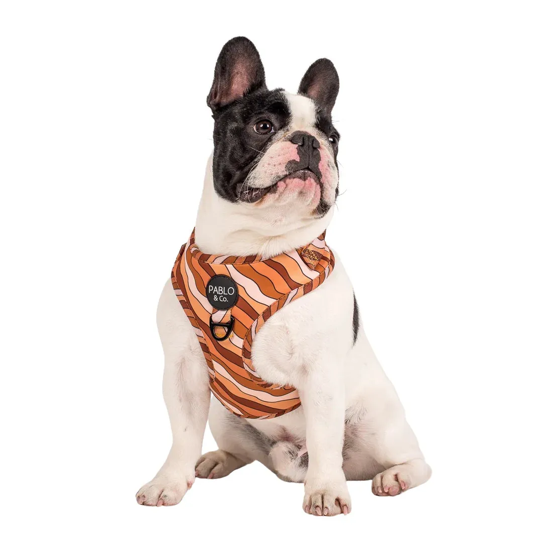 Espresso Swirls Adjustable Harness