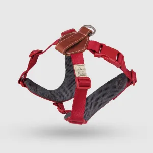 Explore| Adjustable Harness with Leather Red